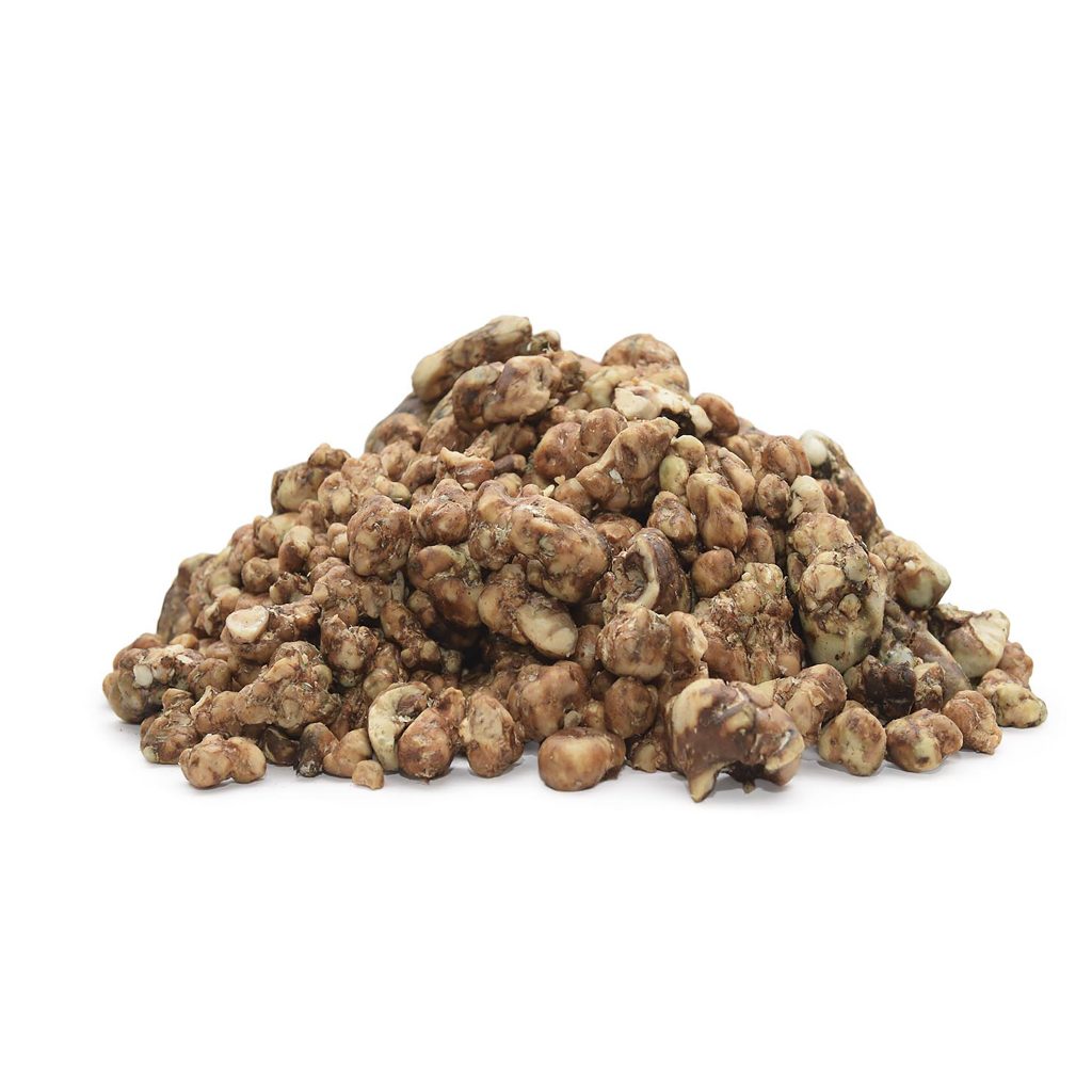 Galindoii-1024x1024.jpg